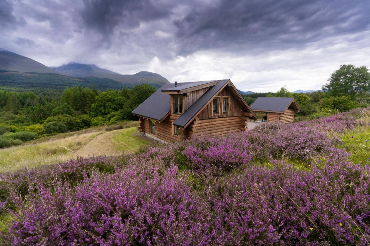 Wild Nurture Eco Luxury Offgrid Log Cabin Fort William Dış mekan fotoğraf