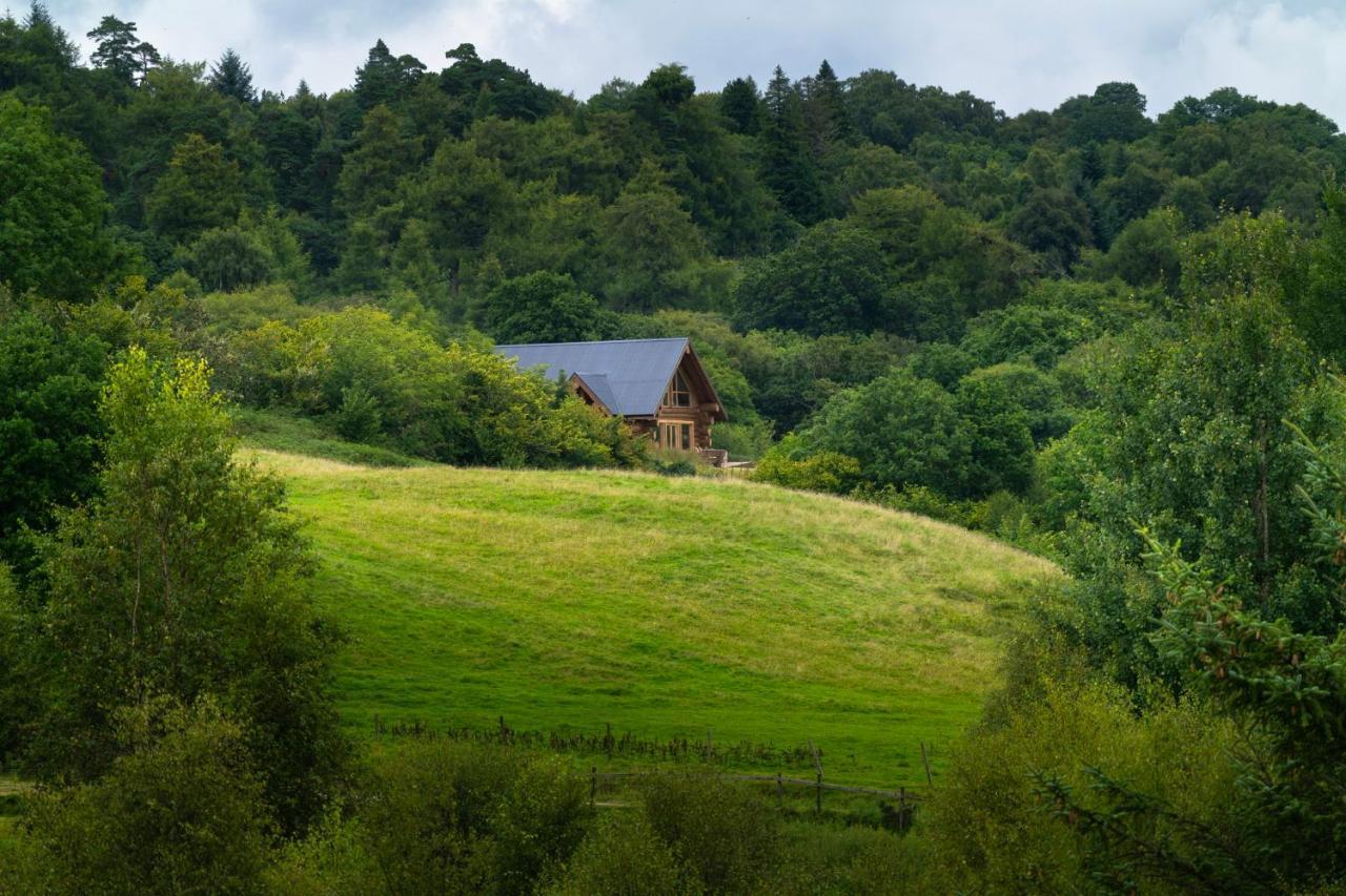 Wild Nurture Eco Luxury Offgrid Log Cabin Fort William Dış mekan fotoğraf