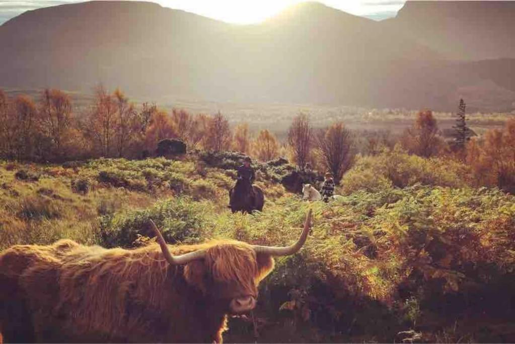 Wild Nurture Eco Luxury Offgrid Log Cabin Fort William Dış mekan fotoğraf
