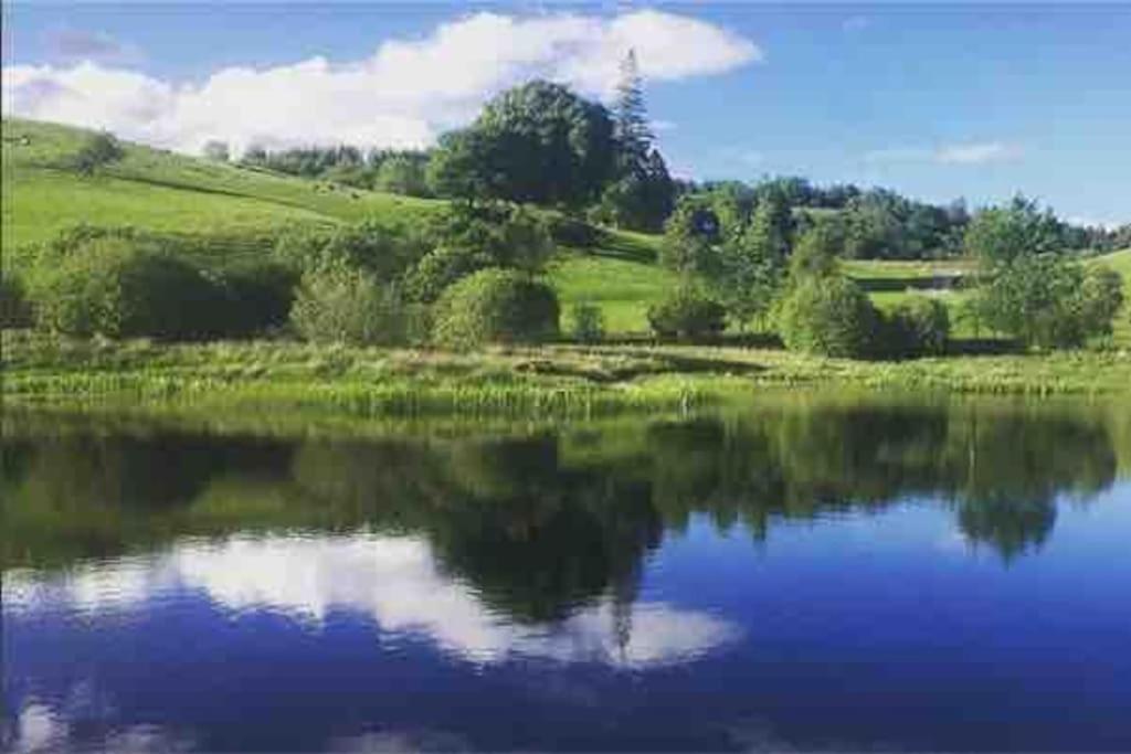 Wild Nurture Eco Luxury Offgrid Log Cabin Fort William Dış mekan fotoğraf