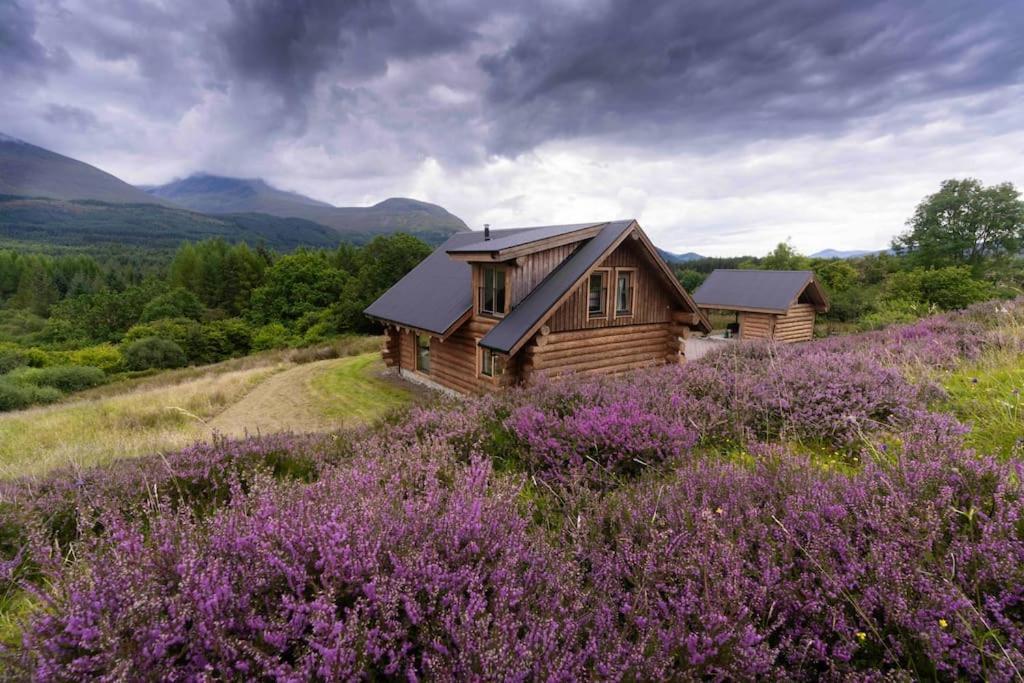 Wild Nurture Eco Luxury Offgrid Log Cabin Fort William Dış mekan fotoğraf